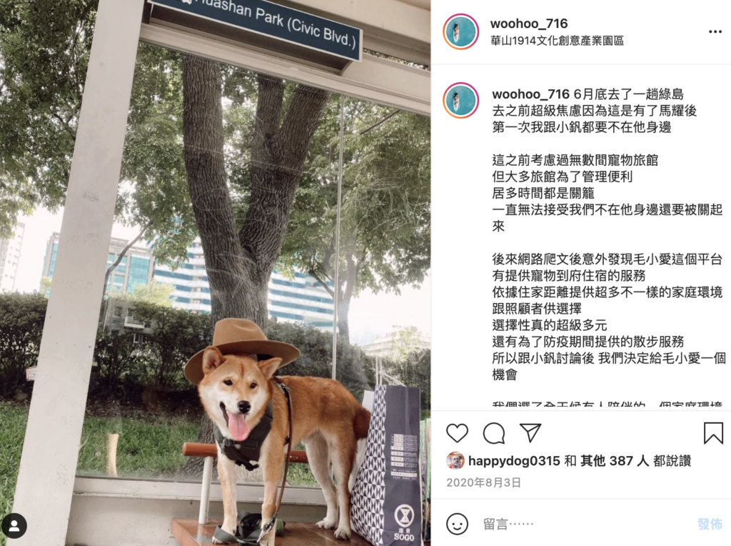 毛小愛 寵物保姆平台