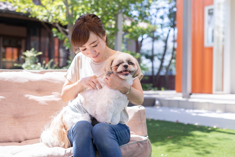 When a dog has a weak immune system, wiping them down with a damp cloth is a good alternative to a full bath