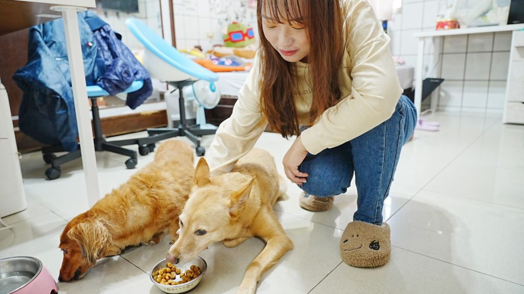 毛小愛，全台最大寵物照顧平台