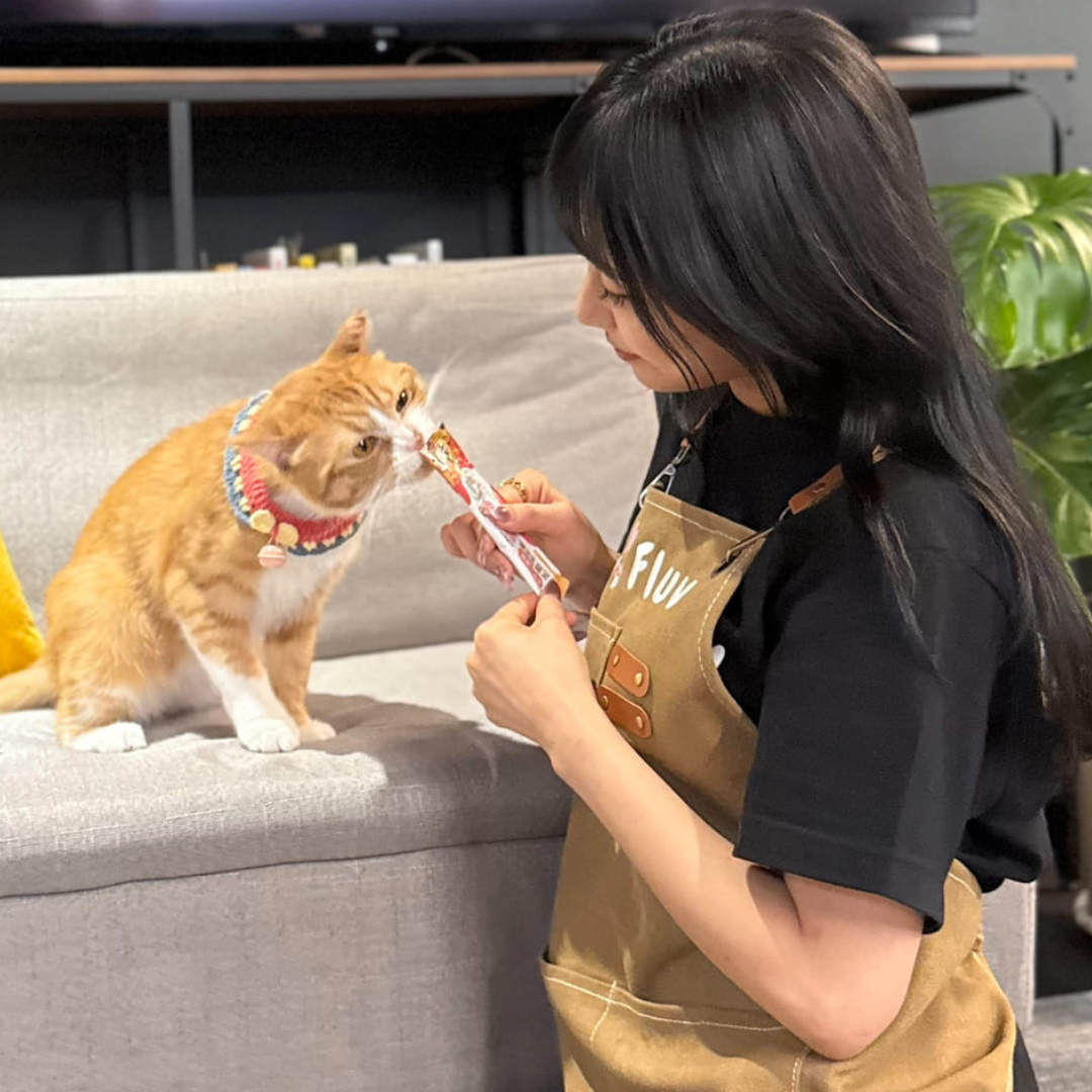 Female pet sitter with kitten