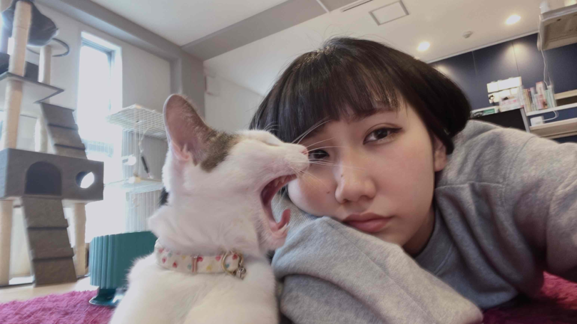 【2025年最新版】ペットシッター・ペットホテル 品川区おすすめ比較｜猫・犬対応・料金3選