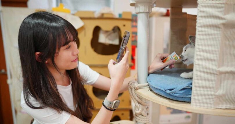 【2025年最新版】ペットシッター・ペットホテル 世田谷区おすすめ比較｜猫・犬対応・料金3選