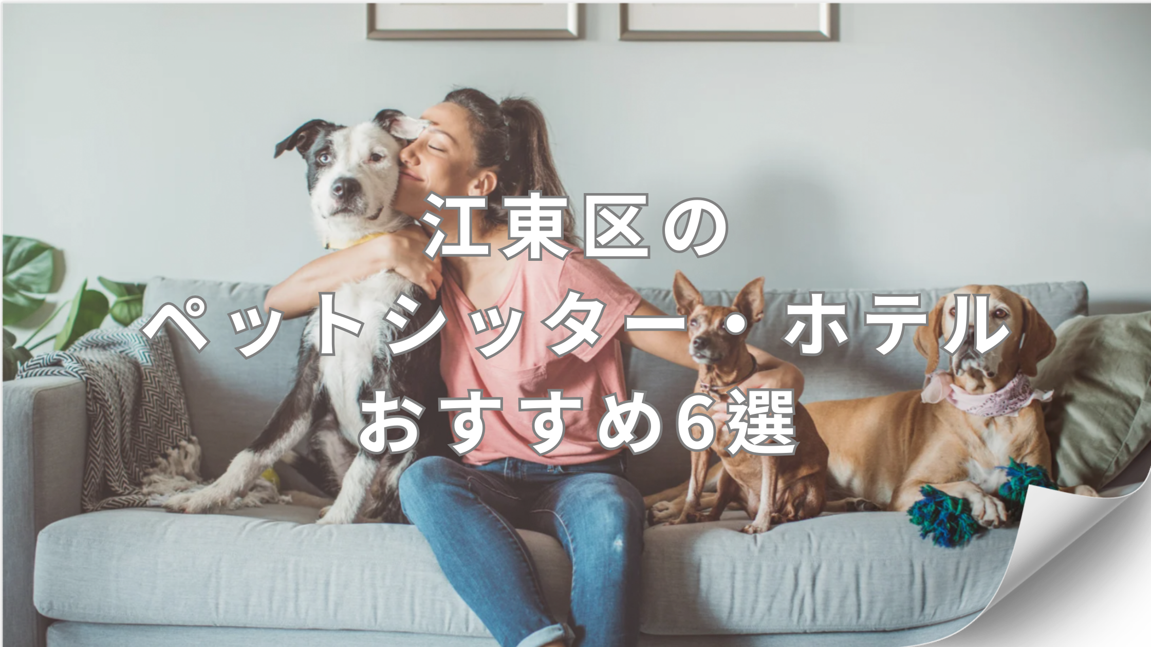 江東区の人気ペットシッター・ペットホテル6選