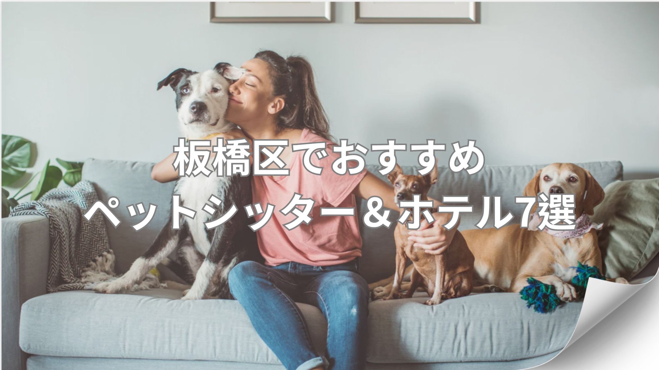 板橋区でおすすめのペットシッター&ホテル7選