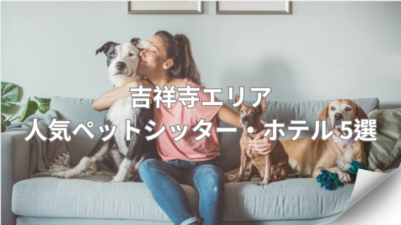 【吉祥寺版】人気の ペットシッター ・ペットホテル５選｜料金・特徴