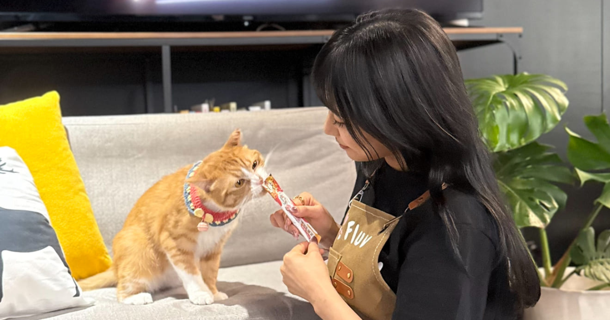 ペットシッター, フラブ, Fluv