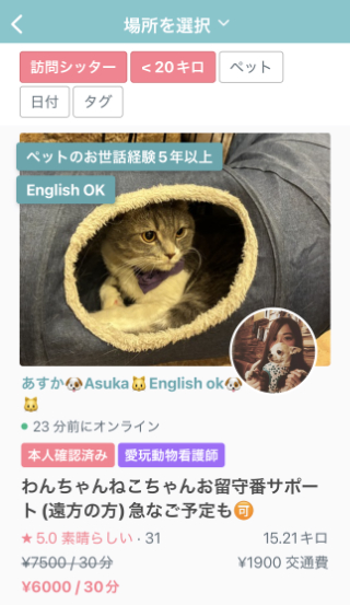 猫　留守番　ペットシッター