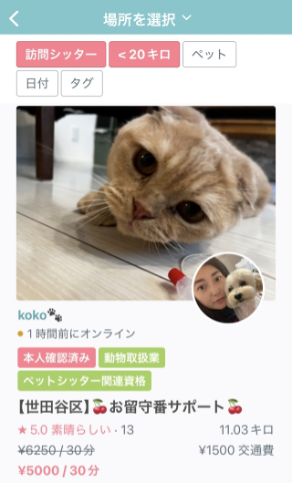 猫 ペットホテル ストレス