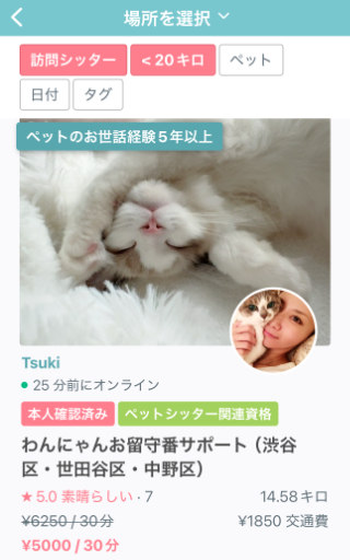 猫　留守番　ペットシッター