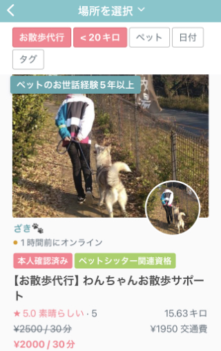 犬　散歩代行　ペットシッター