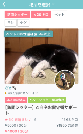 猫　留守番　ペットシッター