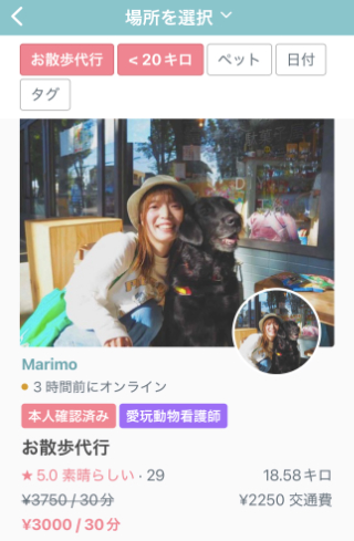 犬　散歩代行　ペットシッター