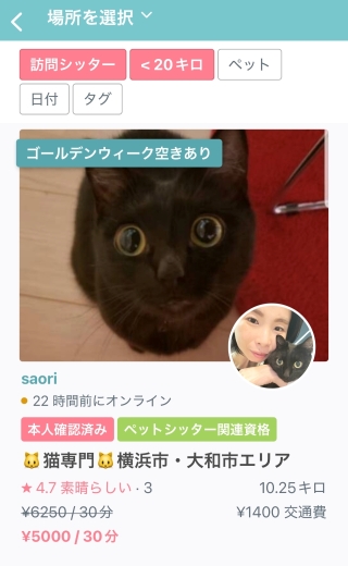 猫　2泊3日　留守番