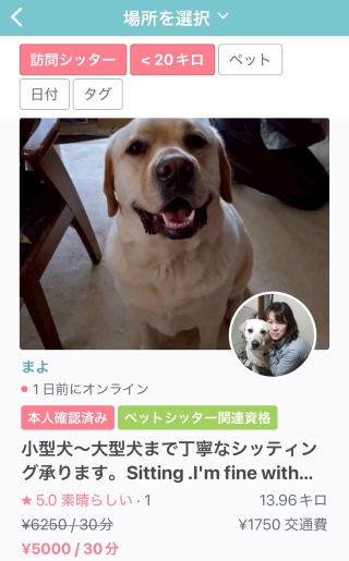 おすすめ　ペットシッター まよ