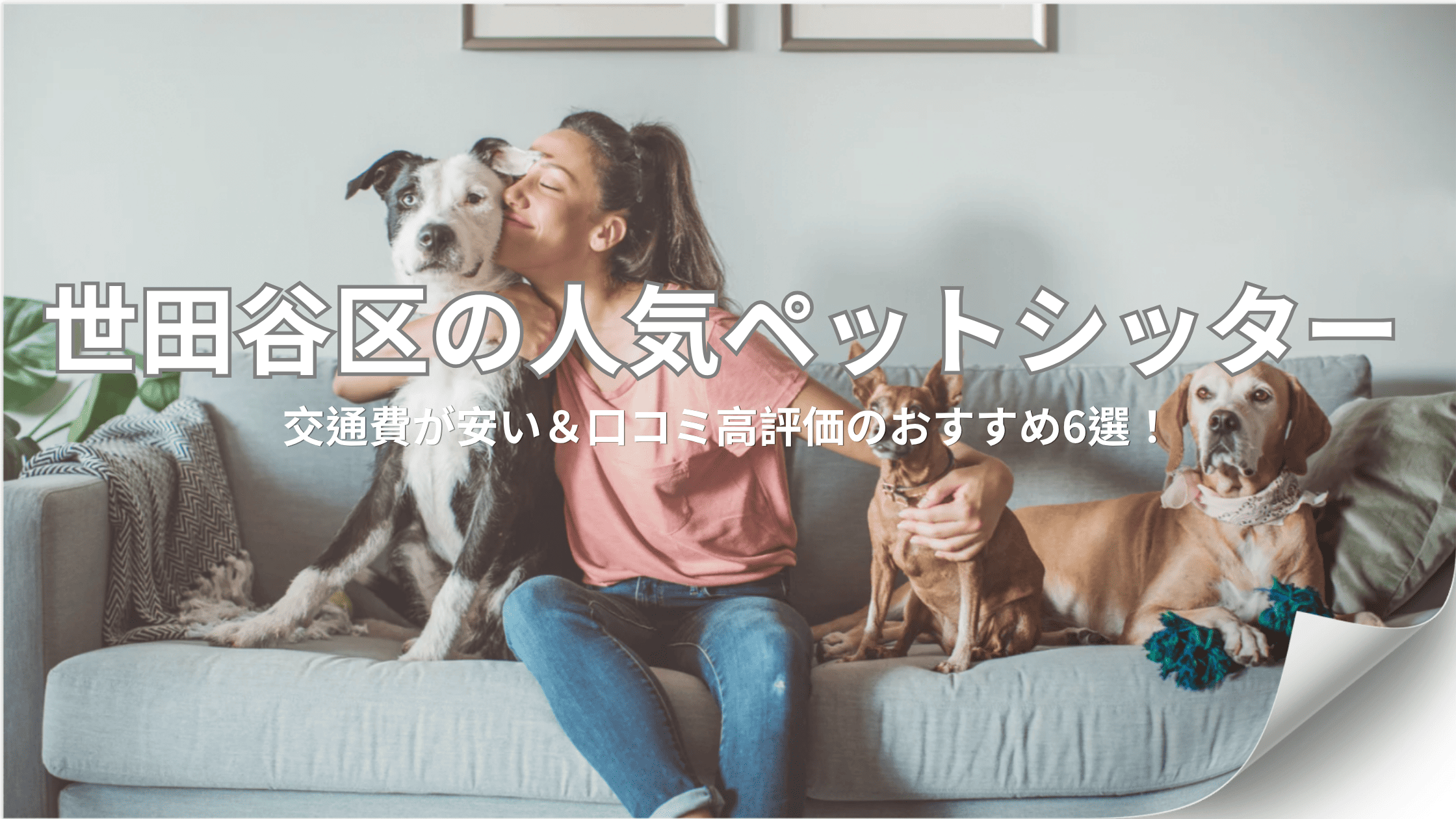 世田谷区でペットシッターを探している飼い主さんに向けて、選び方のコツや、おすすめシッター6選を分かりやすくまとめました。