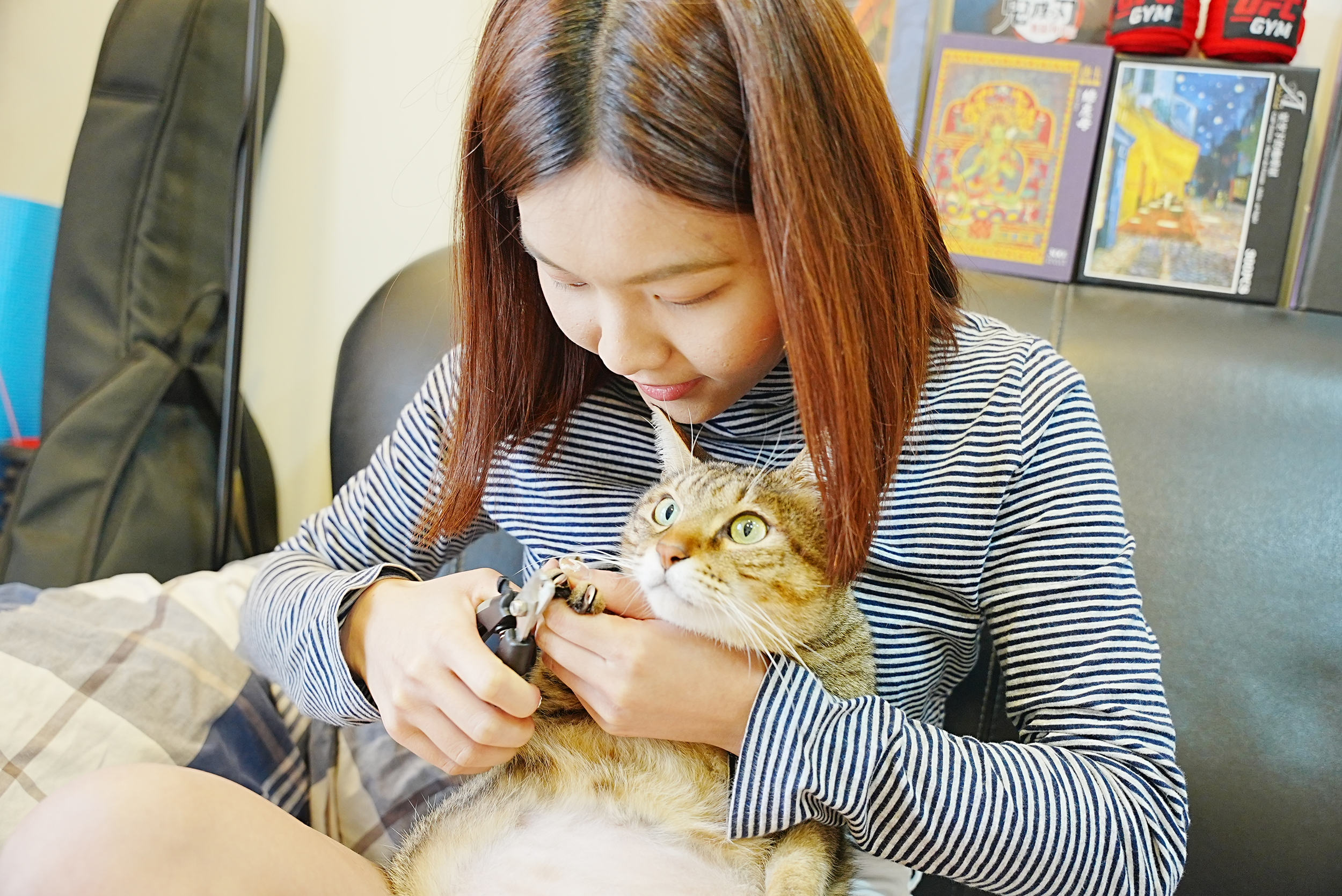 寵物旅館台北價格