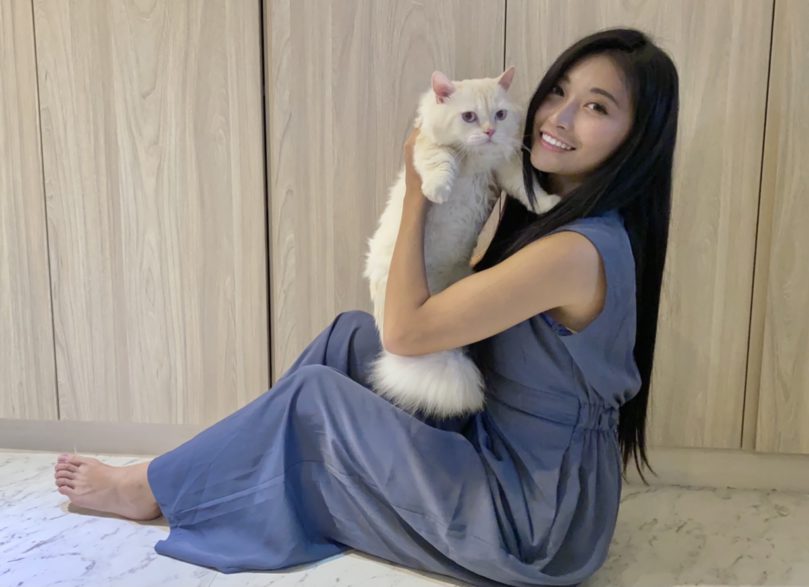 【2025台北信義區貓旅館推薦】9間高評價住宿空間＋貓保姆照顧延伸介紹｜價格、評論與服務比較｜毛小愛精選