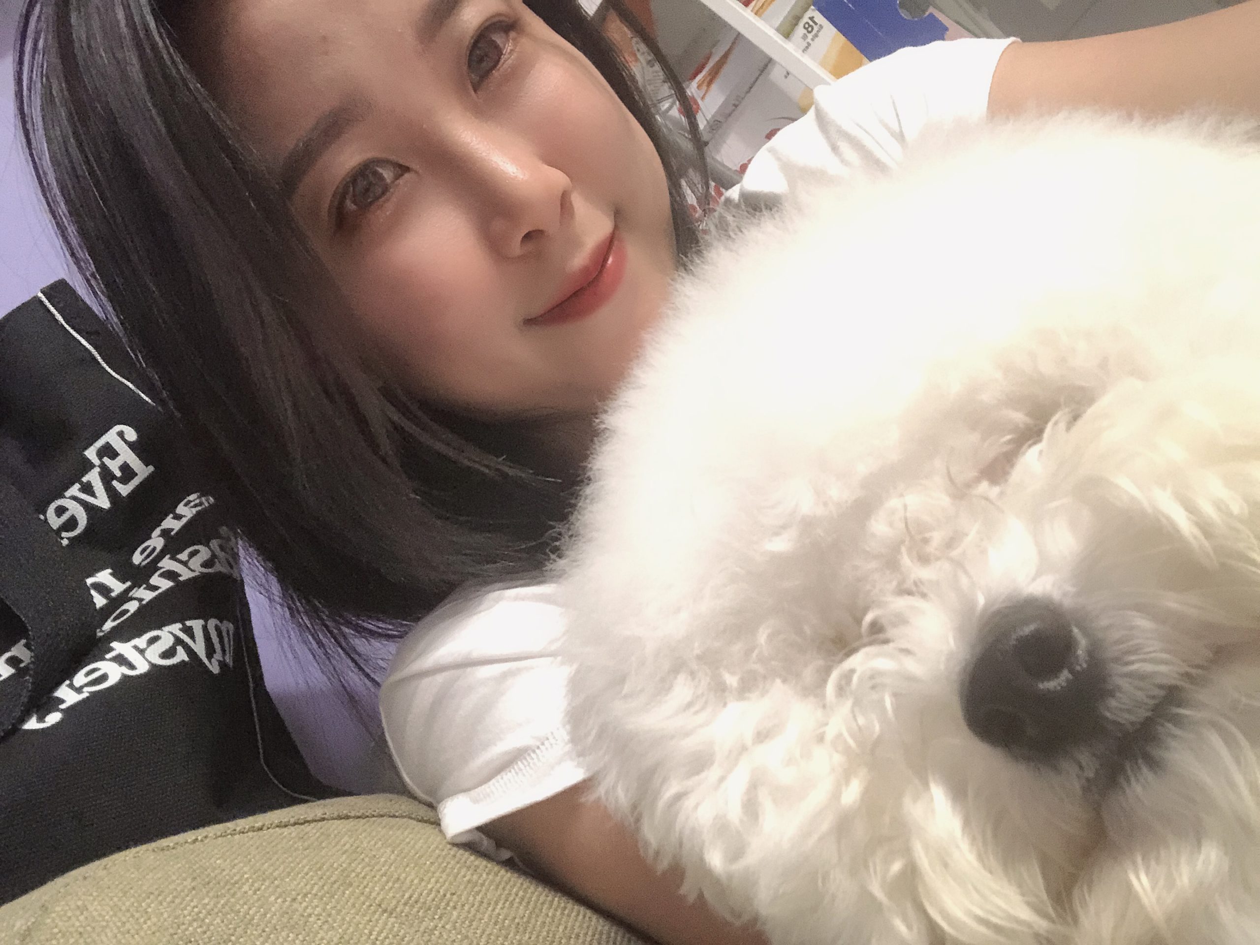 【2025新店貓旅館推薦】9間高評價住宿空間＋貓保姆與寄宿照護延伸整理｜價格、環境與照顧評價一次看懂｜毛小愛精選