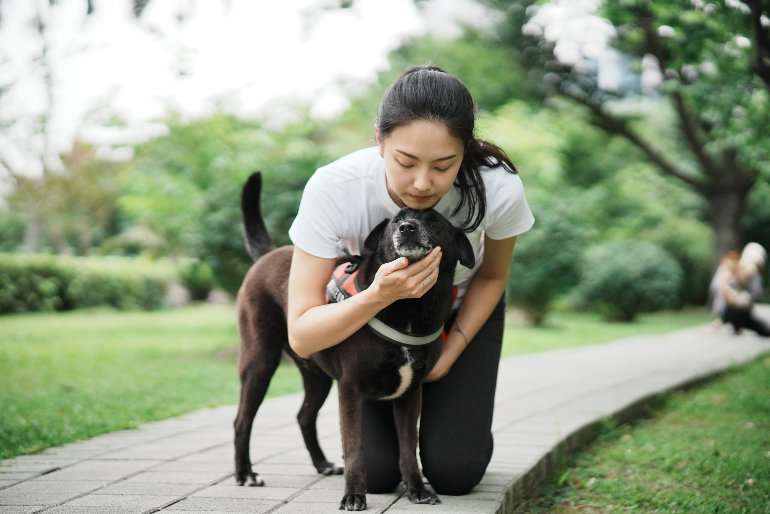 【2025士林貓旅館推薦】9間高評價住宿空間＋人氣貓保姆延伸照護比較｜價格、評價與服務一次看懂｜毛小愛精選