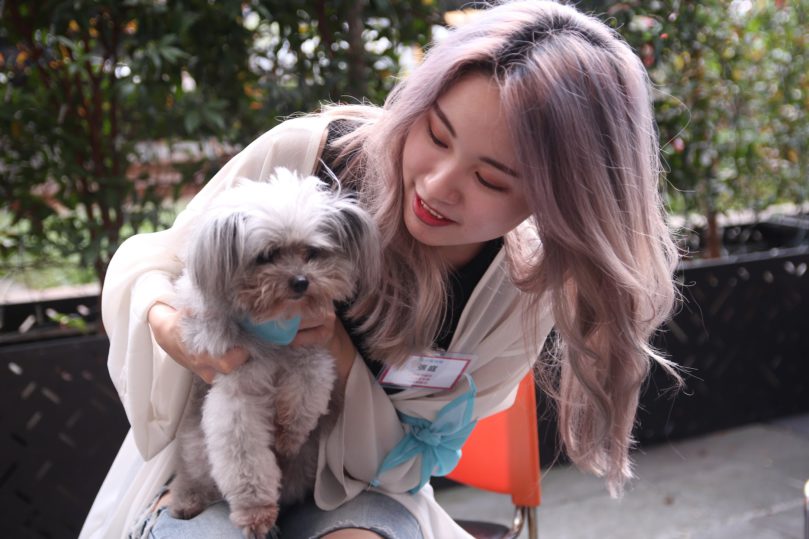 【2025台中西屯貓旅館推薦】9間人氣住宿空間＋貓保姆照護延伸介紹｜環境、評價與價格一次看懂｜毛小愛精選