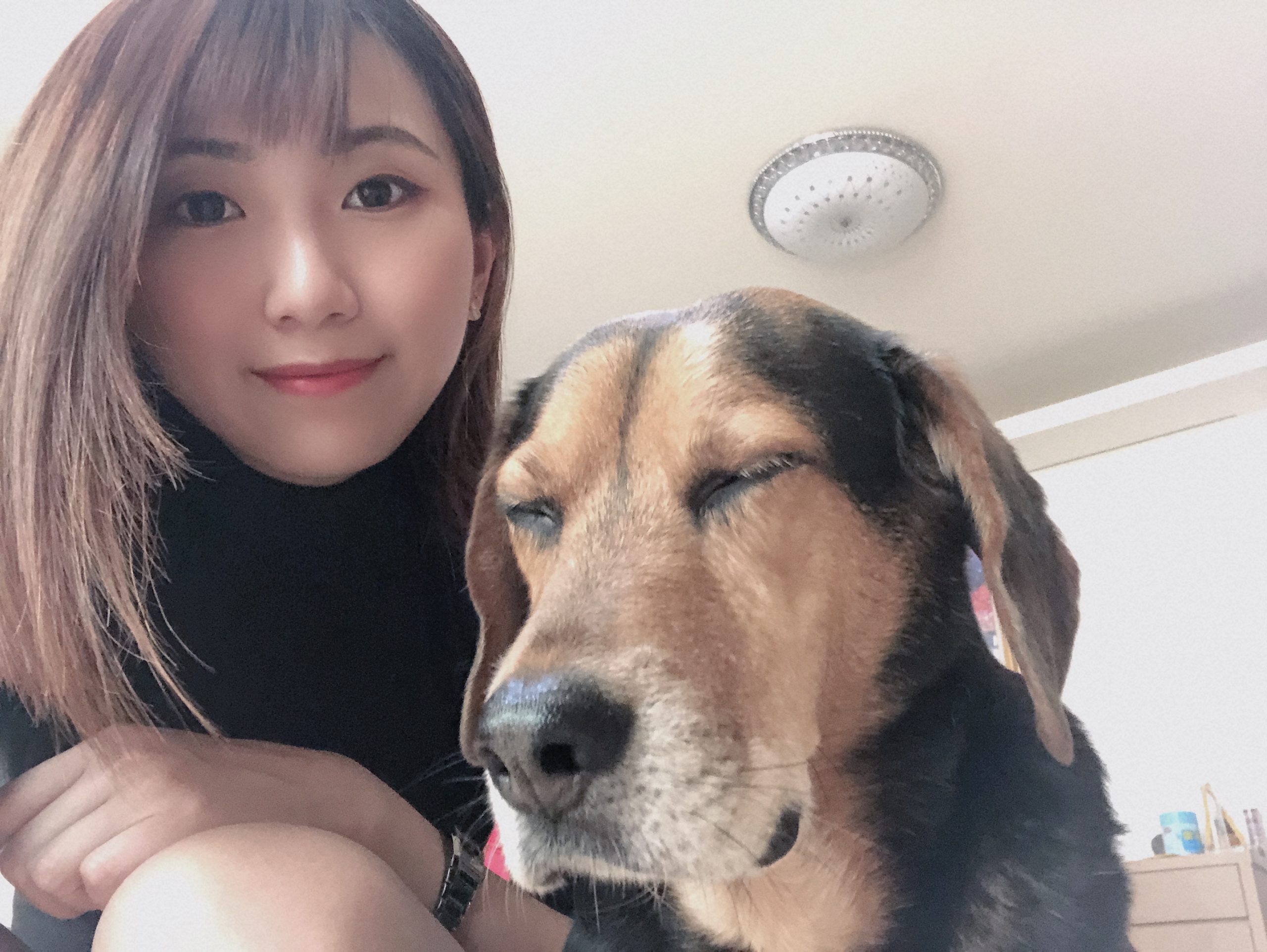 【2025新北永和貓旅館推薦】9間高評價住宿空間＋人氣貓保姆照護延伸介紹｜環境、價格與評價一次看懂｜毛小愛精選