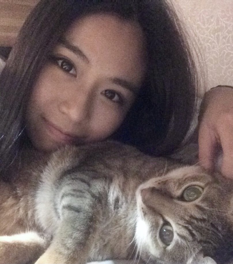 【2025台北萬華區・西門町貓旅館推薦】高評價貓咪住宿與3位貓保姆照護延伸介紹｜毛小愛精選寵物旅館＆遛狗服務總整理