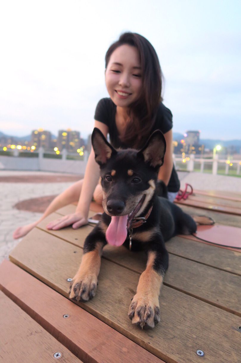 [2025 Taoyuan Cat Hotel Recommendations] 3 Top-Rated Cat Sitters & Extended Care Guide | Accommodations, Care Services & Pricing Overview | Fluv Picks