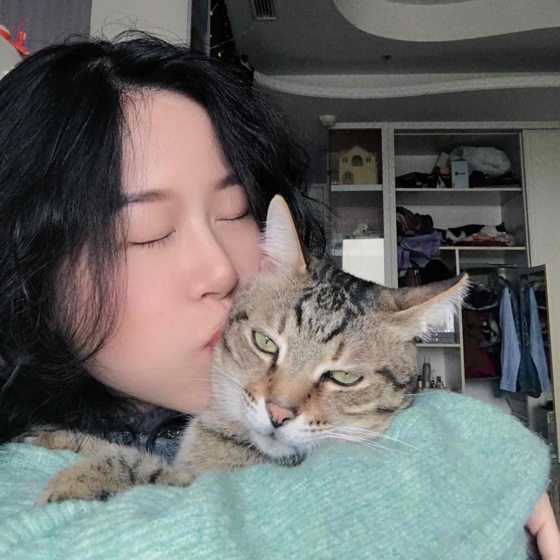 [2025 New Taipei Tamsui cat hotel recommendations] 9 top-rated cat boarding options — pricing, care quality, and cat sitter services | Fluv picks