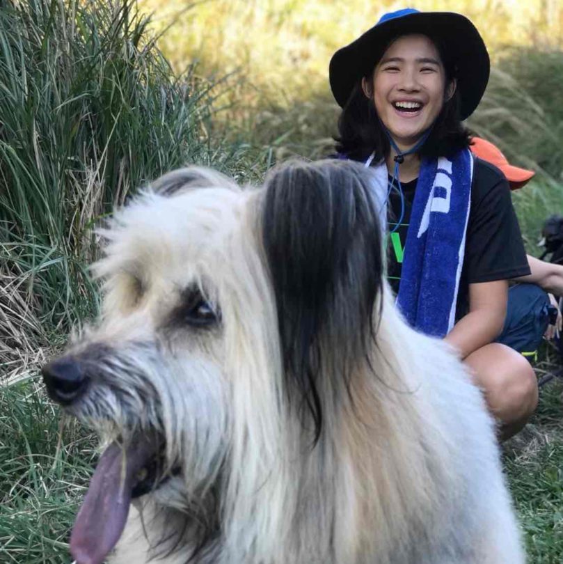 【2025最新】飼主出門旅行、出國旅遊、外出過夜時，寵物照顧的注意事項。