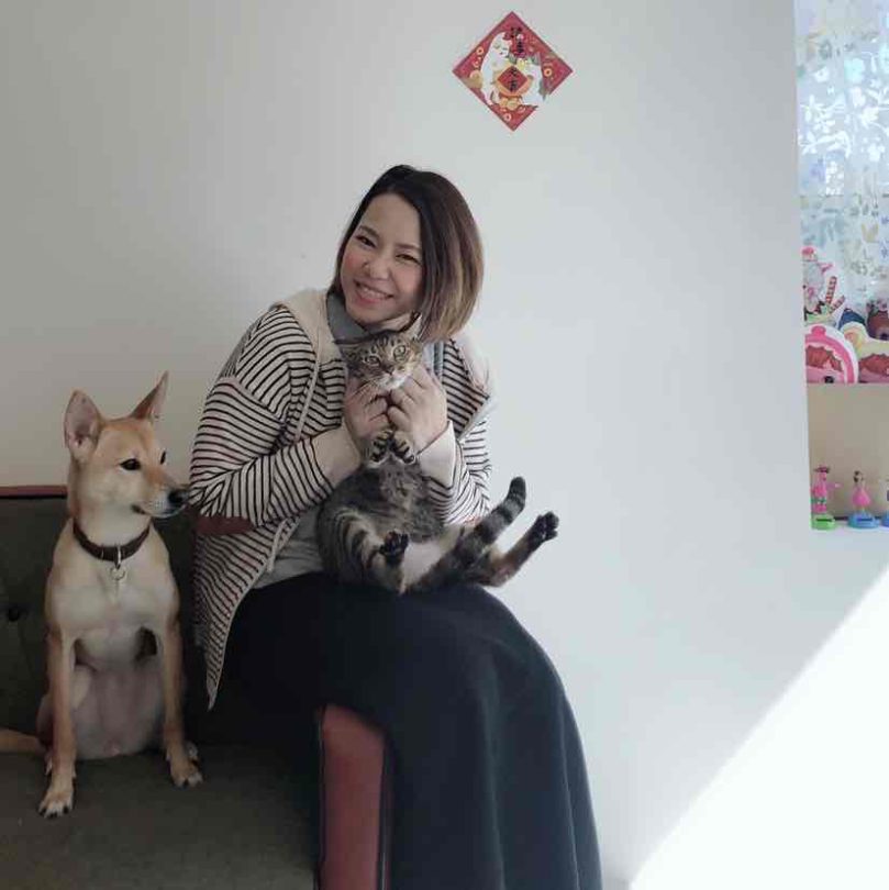 【2025春節寵物旅館價格比較】全台熱門寵物旅館費用一次看｜不關籠貓旅館與寵物保姆服務推薦