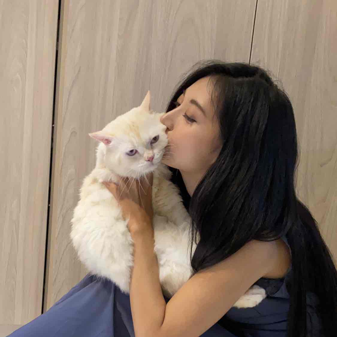 貓咪會想他們的主人嗎？