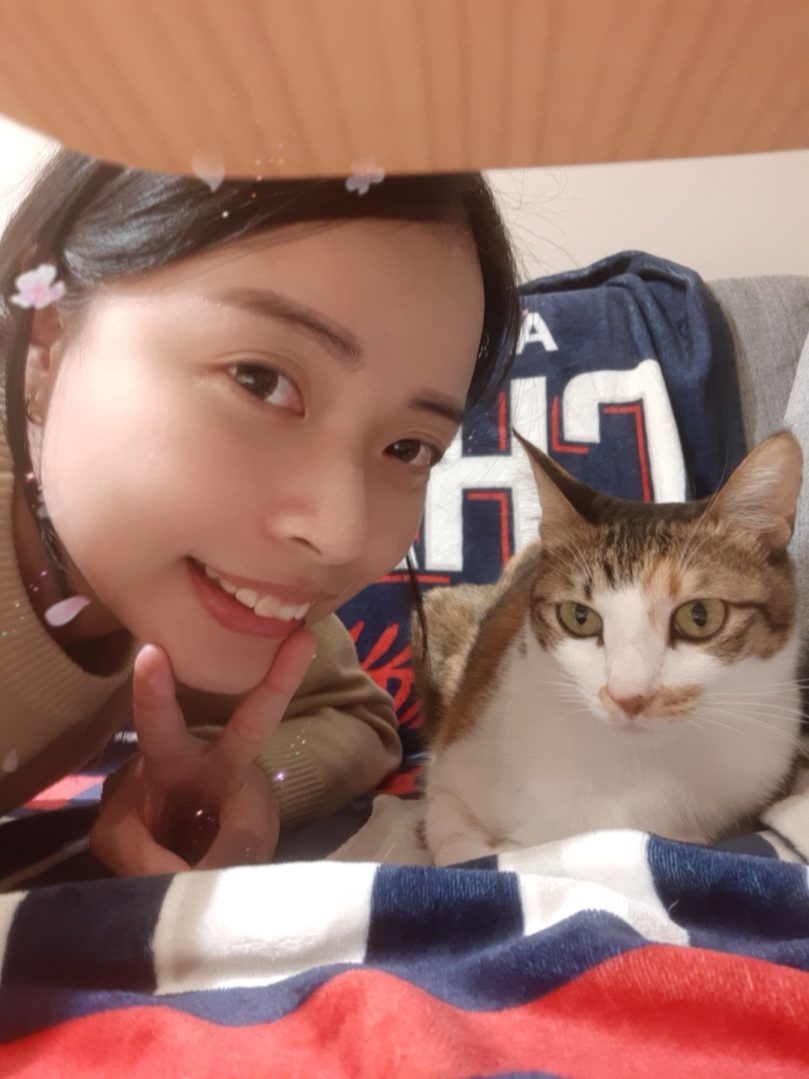 【2025台中南屯區貓旅館推薦】高評價貓咪住宿與照顧服務總整理｜毛小愛精選3位貓保姆＋遛狗照護延伸介紹