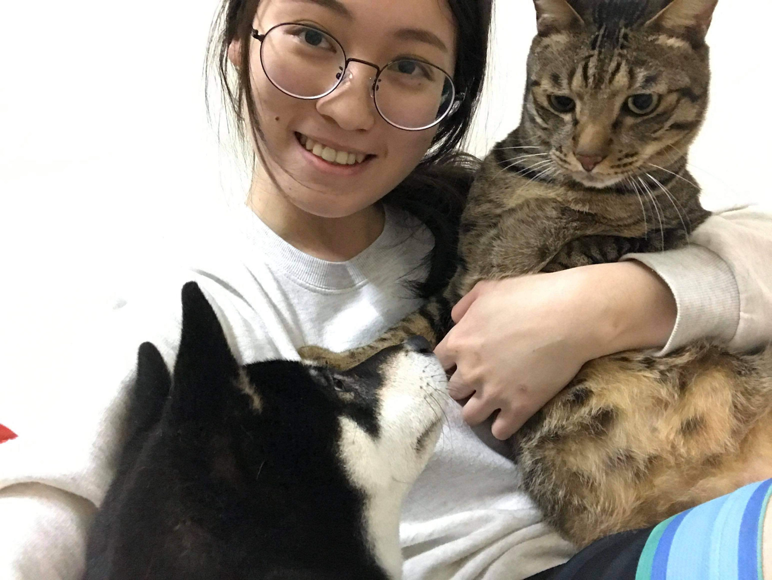 【2025高雄楠梓區貓旅館推薦】3位高評價貓保姆與寵物照護服務延伸介紹｜遛狗＆狗保姆總整理｜毛小愛精選