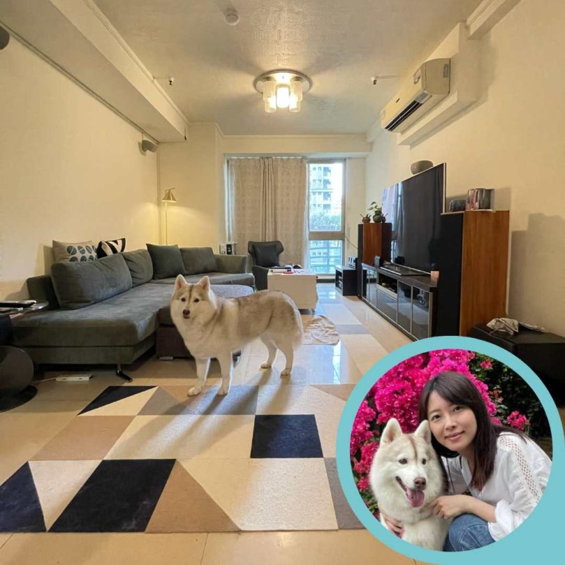 【2025台北・新北貓旅館推薦】不關籠、居家型高評價貓咪住宿懶人包｜三重、大安、中山＋貓保姆延伸介紹｜毛小愛精選