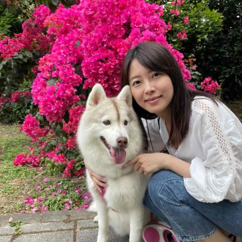 毛小愛推薦7個成為寵物保姆、貓保姆、遛狗師的理由！時間彈性、斜槓增加收入的職業推薦