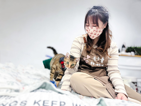 24小時照顧貓旅館，專人陪伴照顧貓咪日常生活