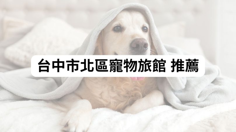 【2025台中北區貓旅館精選】5間高評價貓咪住宿｜費用、照護、環境一次看懂｜毛小愛推薦