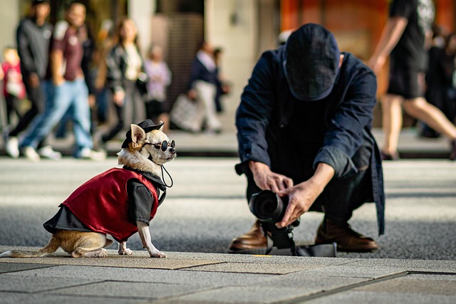 Pet-owner matching outfits - street style Taiwan