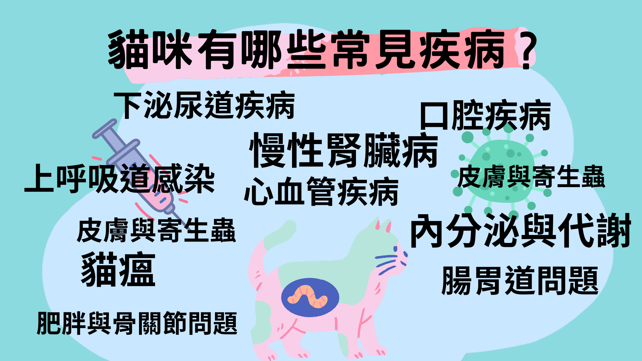 貓咪常見疾病