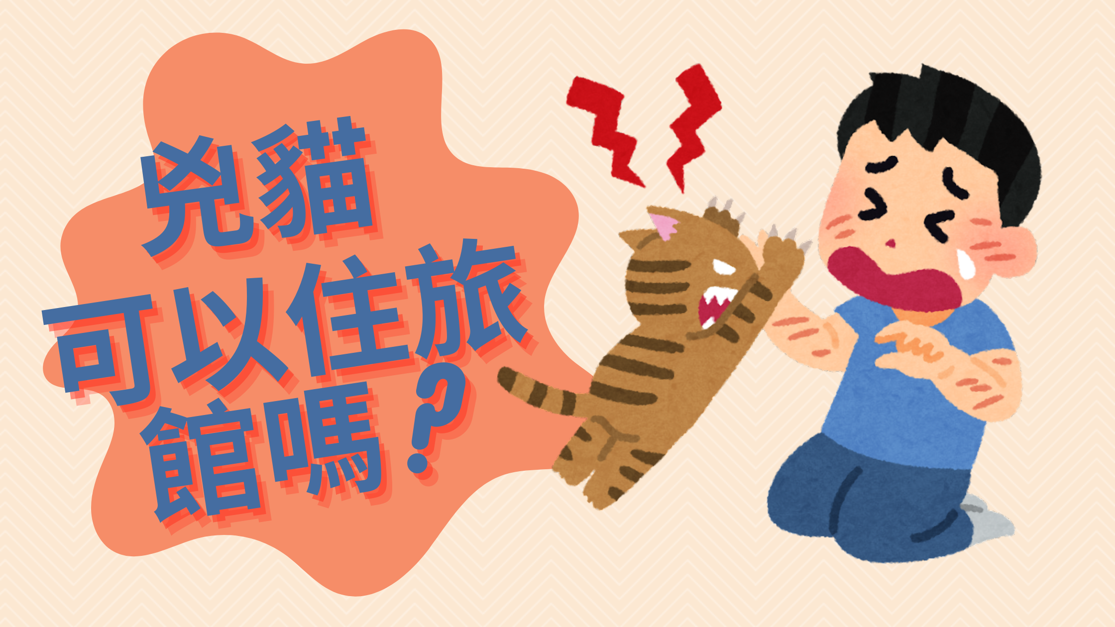 兇貓可以住旅館嗎?