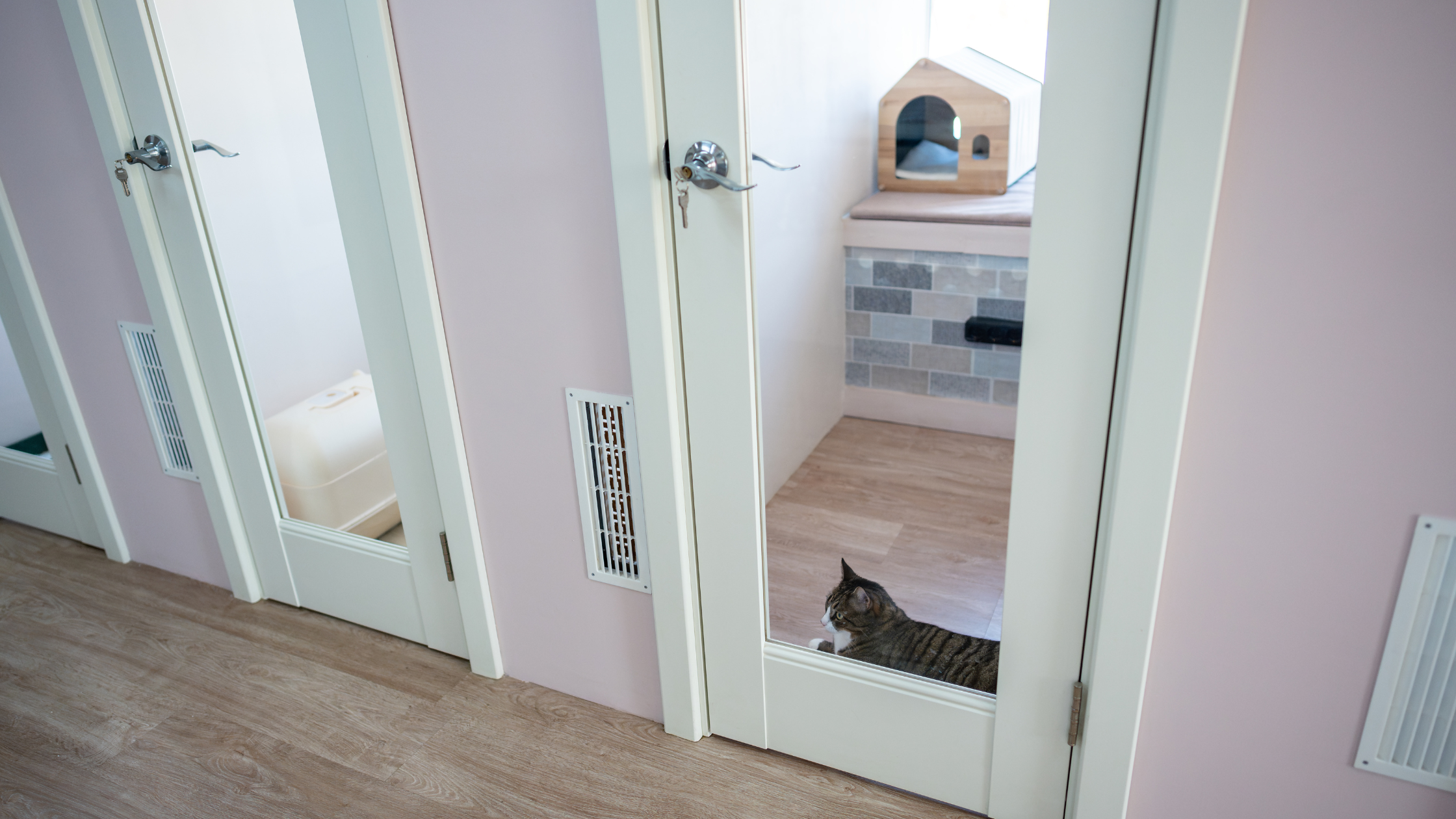 中壢寵物旅館價格與桃園寵物住宿評價總整理，包含機場接送與安親推薦