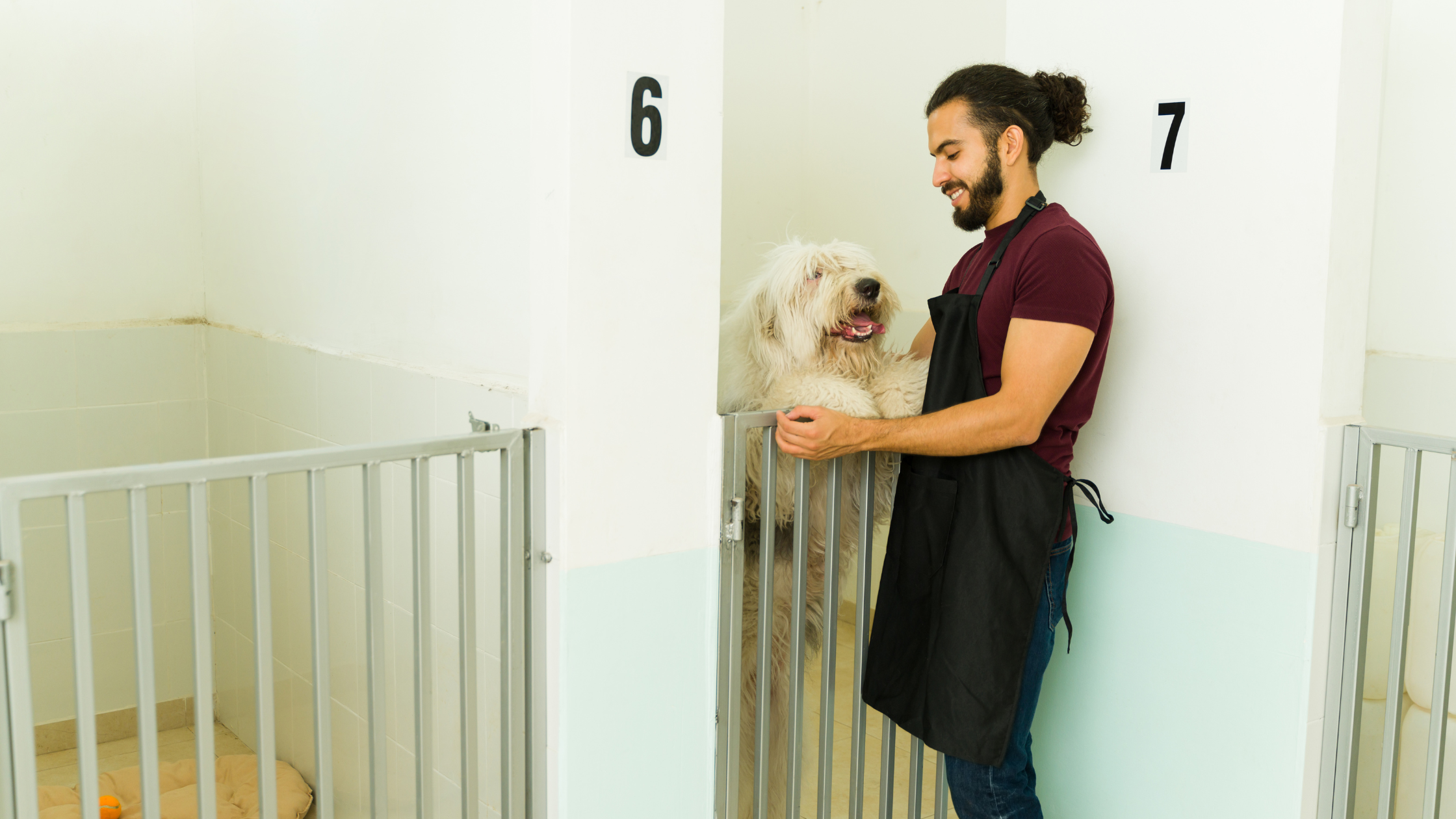 台中寵物旅館挑選重點：專業保姆提供的24小時照護與大型犬住宿互動