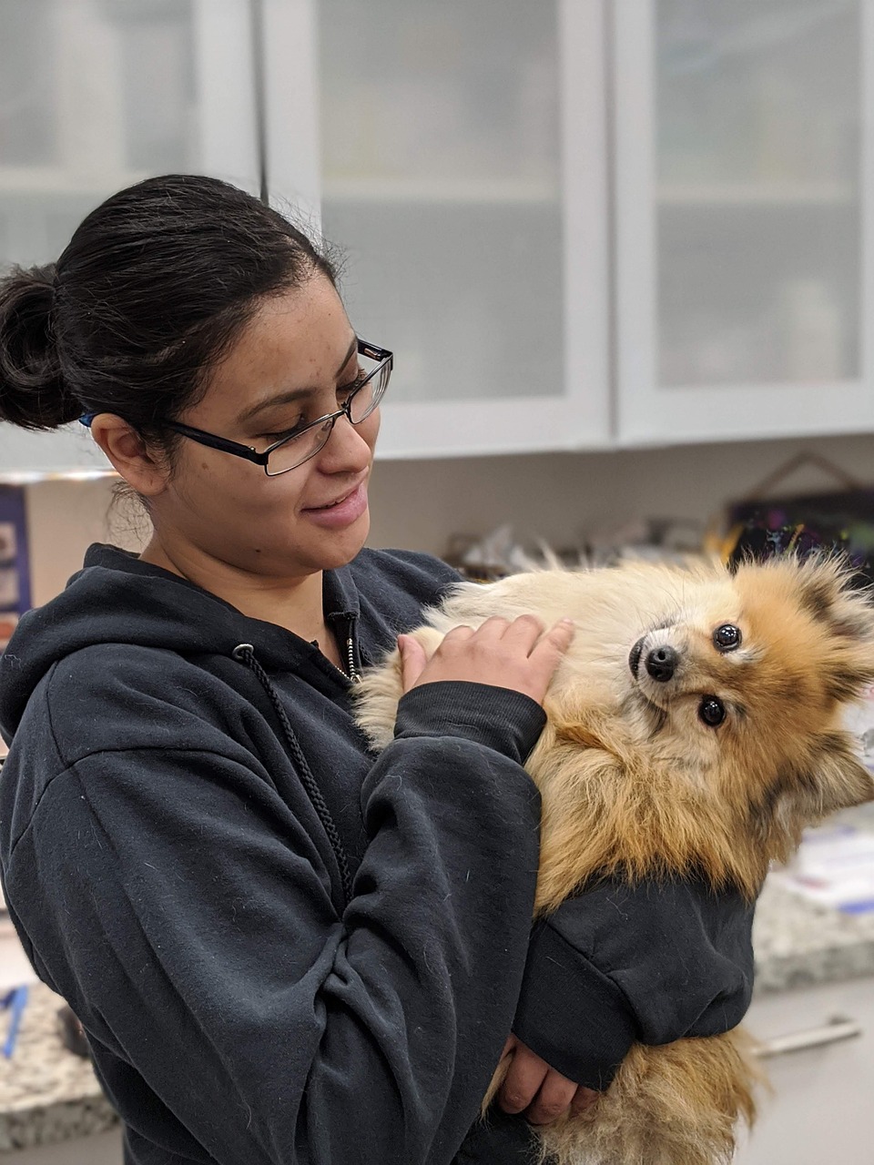 veterinarian examining dog skin condition