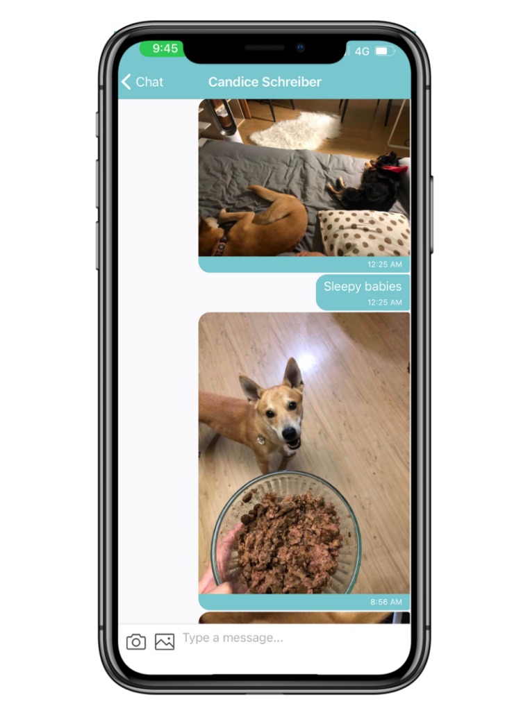 pet sitter manila philippines