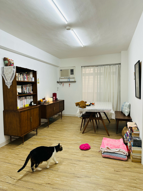 Kate 中正區寵物寄宿 寵物旅館