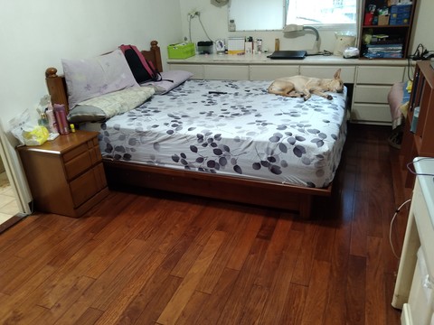 sora 中正區寵物寄宿 寵物旅館