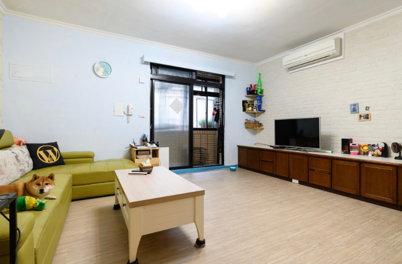 小亮 信義區寵物寄宿 寵物旅館 毛小愛