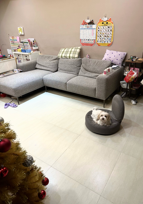 士林區寵物寄宿 寵物旅館