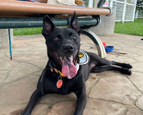 Fluv_IGOTYOU_Foster_Queenie生活照_250611_1