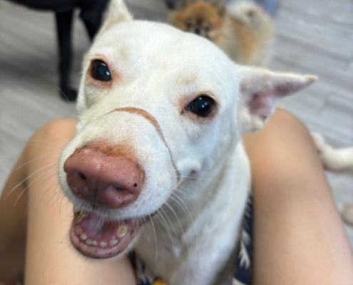 Fluv_IGOTYOU_Foster_愛笑男孩Scott_250611_1